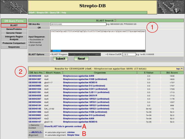 BLAST query help picture