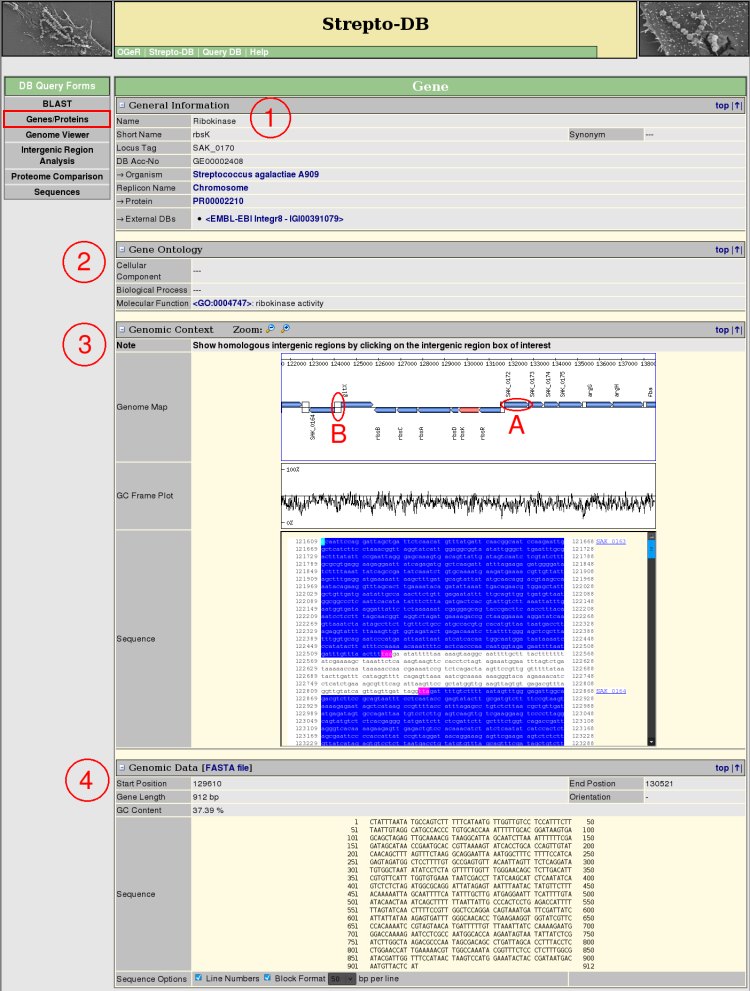 gene result help picture