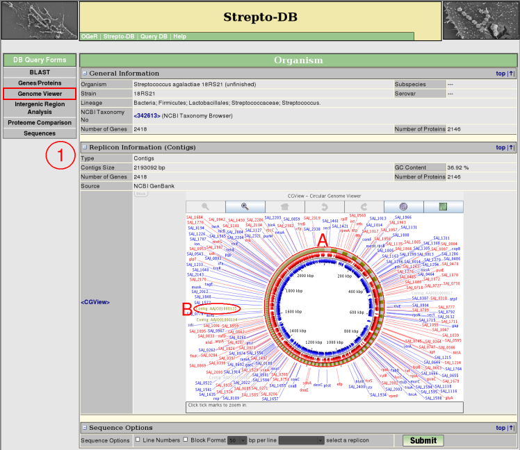 genome viewer contigs help picture