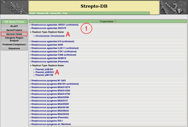 genome viewer selection help picture