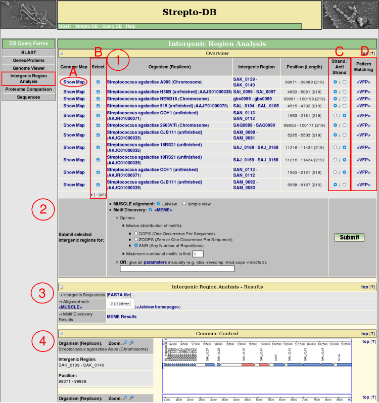 intergenic region analysis help picture