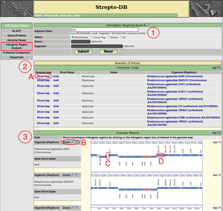 intergenic region search help picture